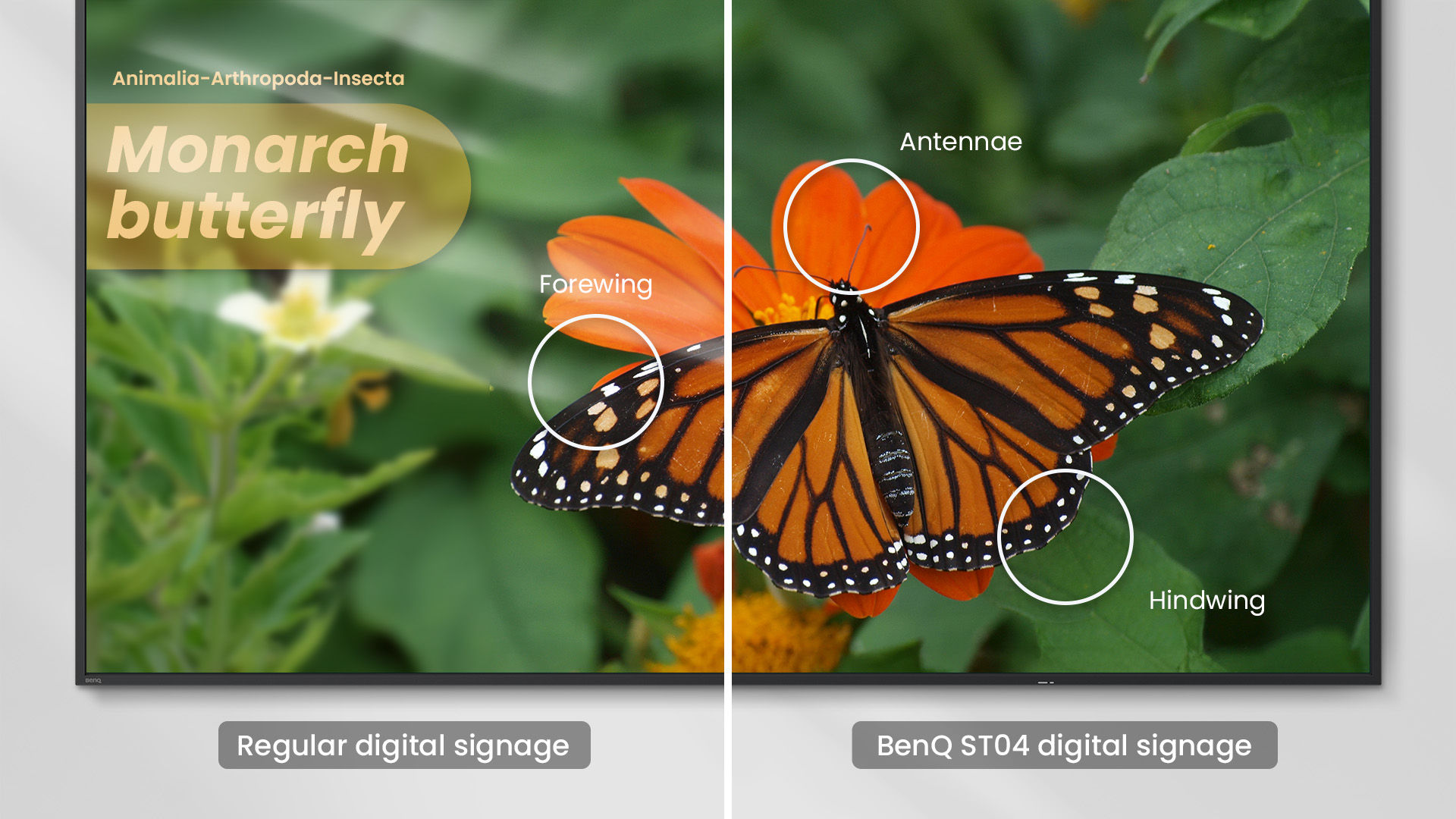 Écran ST04 avec revêtement antireflet, réduisant la fatigue oculaire des élèves.